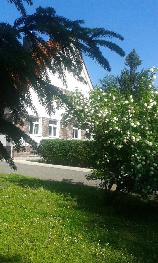 Forsthaus Wegenerskopf Appartement Thale Buitenkant foto